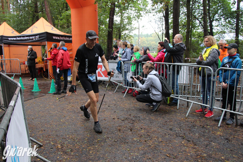 Pniowiec pod znakiem kijów