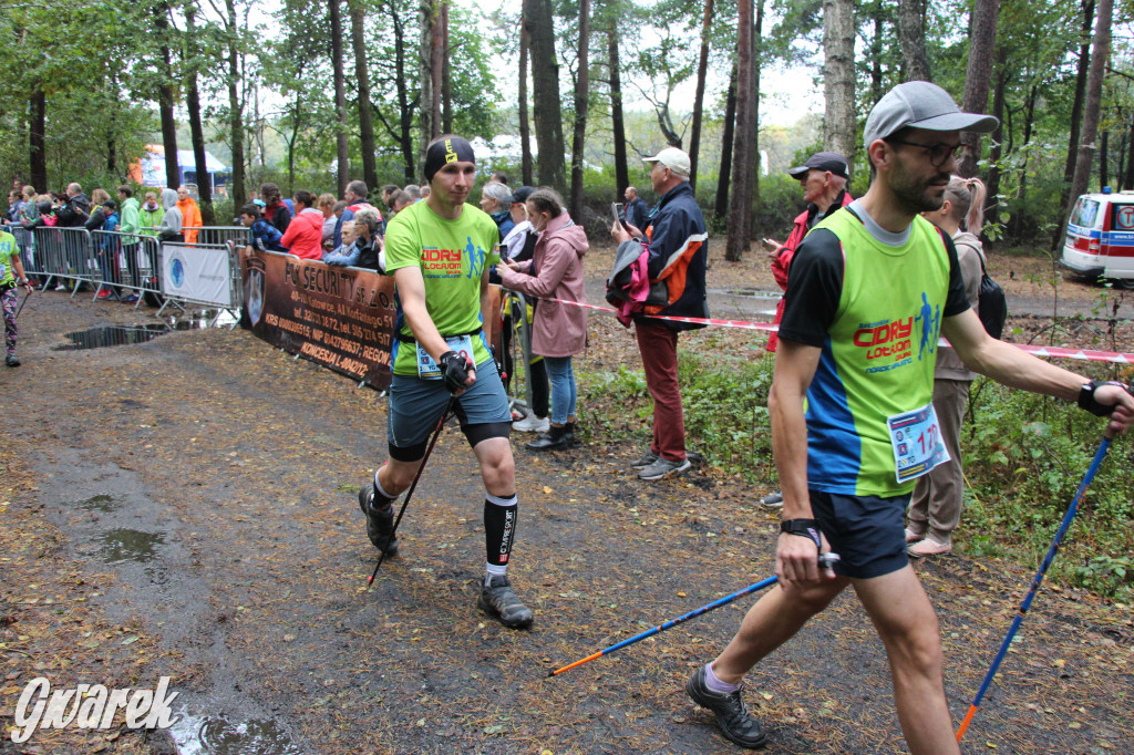 Pniowiec pod znakiem kijów