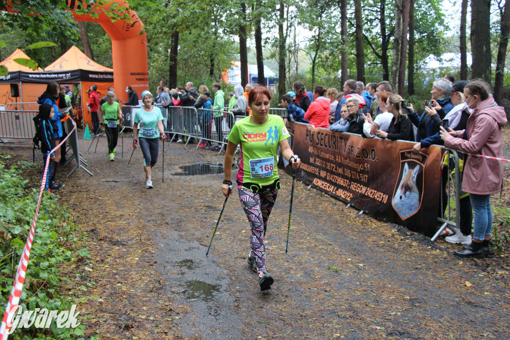 Pniowiec pod znakiem kijów