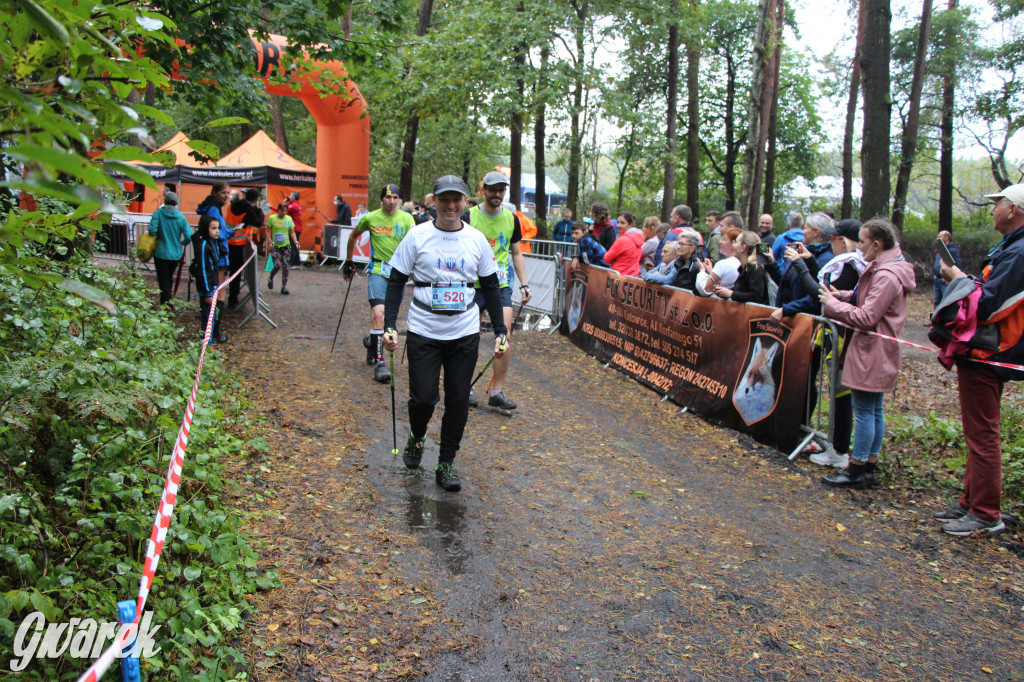 Pniowiec pod znakiem kijów