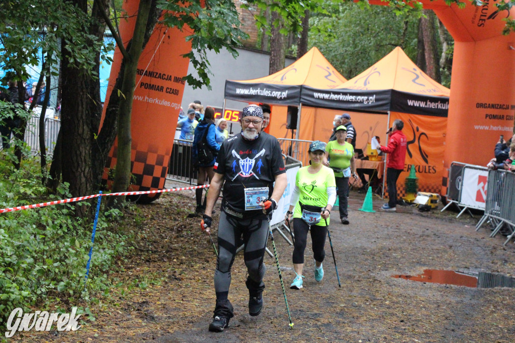 Pniowiec pod znakiem kijów