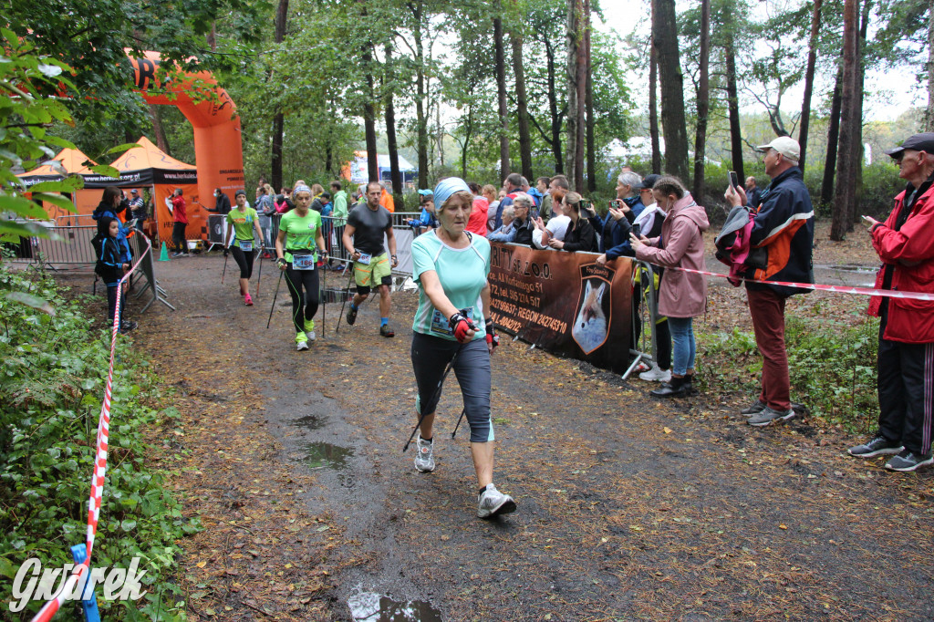 Pniowiec pod znakiem kijów