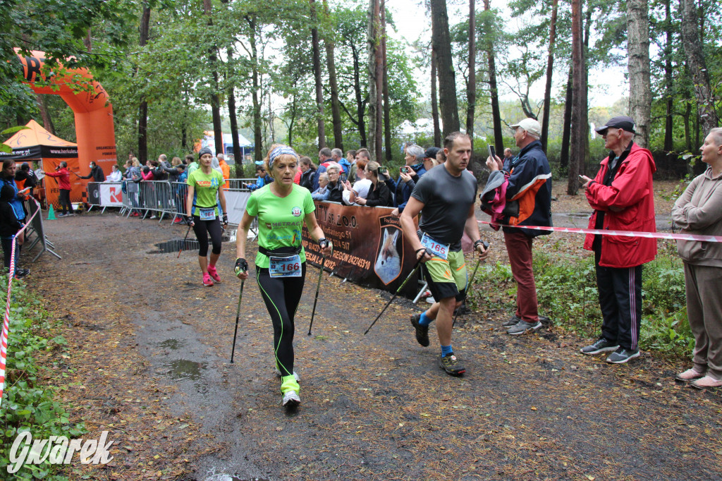 Pniowiec pod znakiem kijów