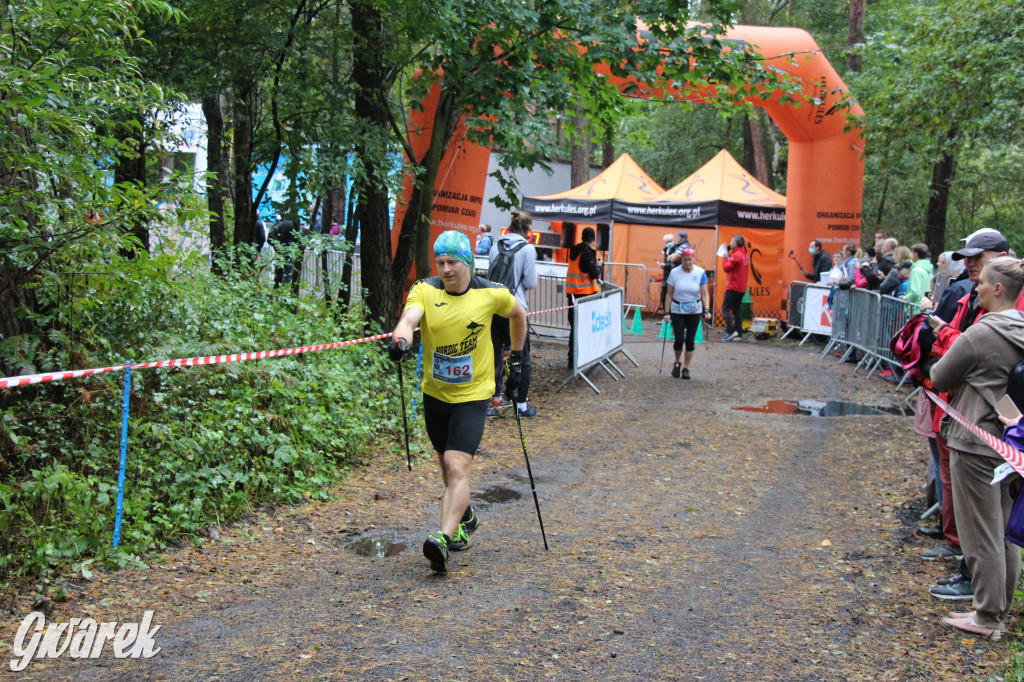 Pniowiec pod znakiem kijów