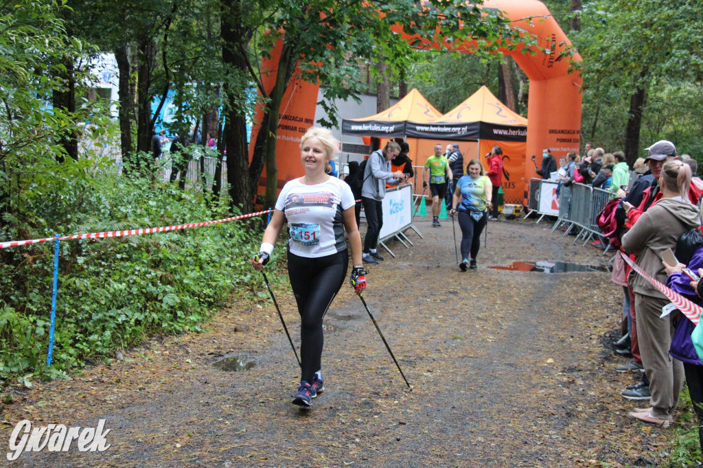 Pniowiec pod znakiem kijów