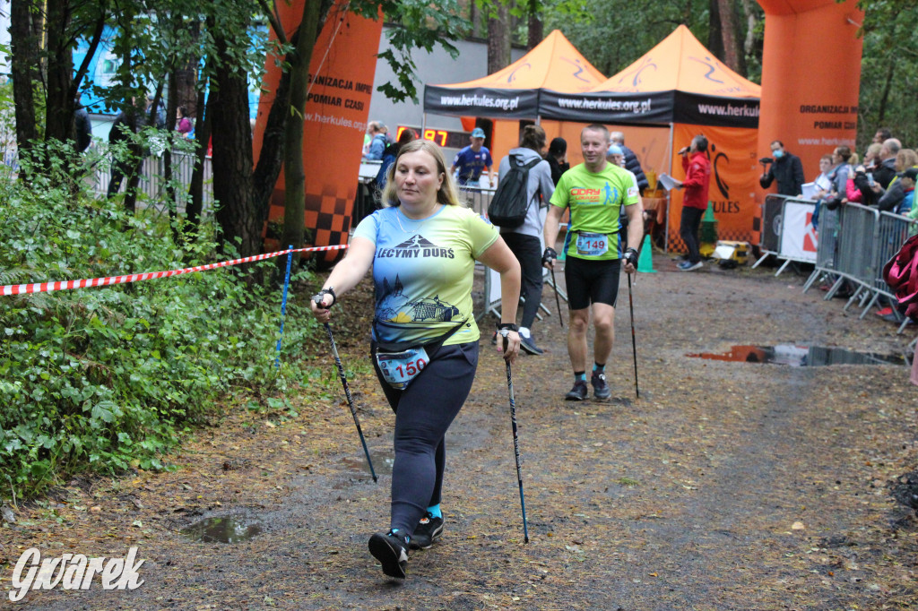 Pniowiec pod znakiem kijów