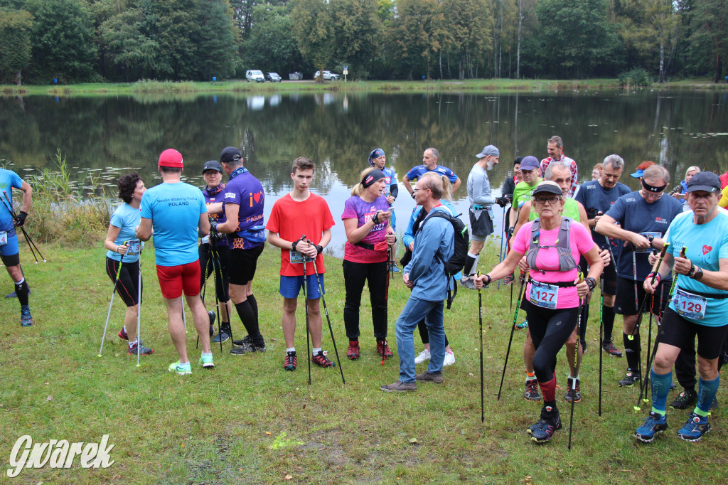 Pniowiec pod znakiem kijów