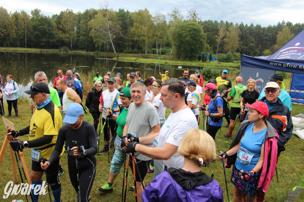 Pniowiec pod znakiem kijów