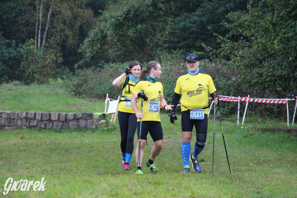 Pniowiec pod znakiem kijów