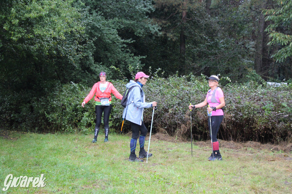 Pniowiec pod znakiem kijów