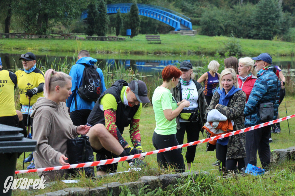 Pniowiec pod znakiem kijów