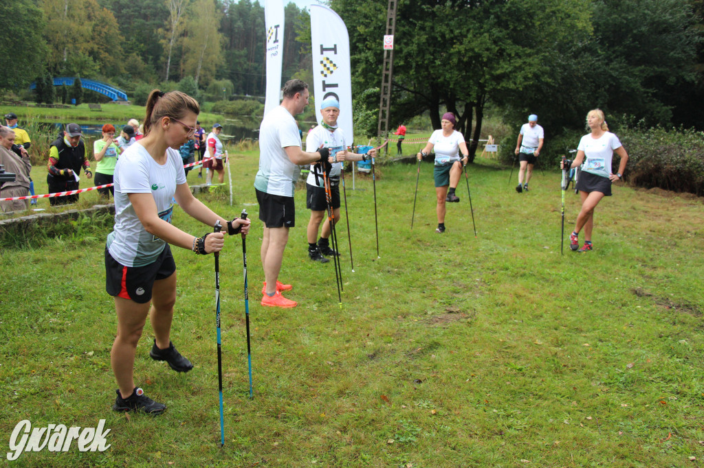 Pniowiec pod znakiem kijów