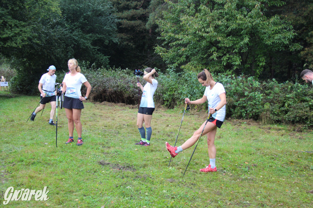 Pniowiec pod znakiem kijów