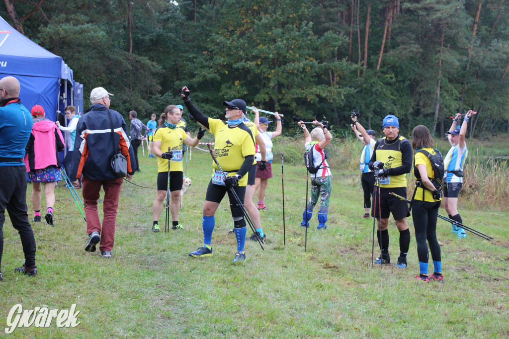 Pniowiec pod znakiem kijów