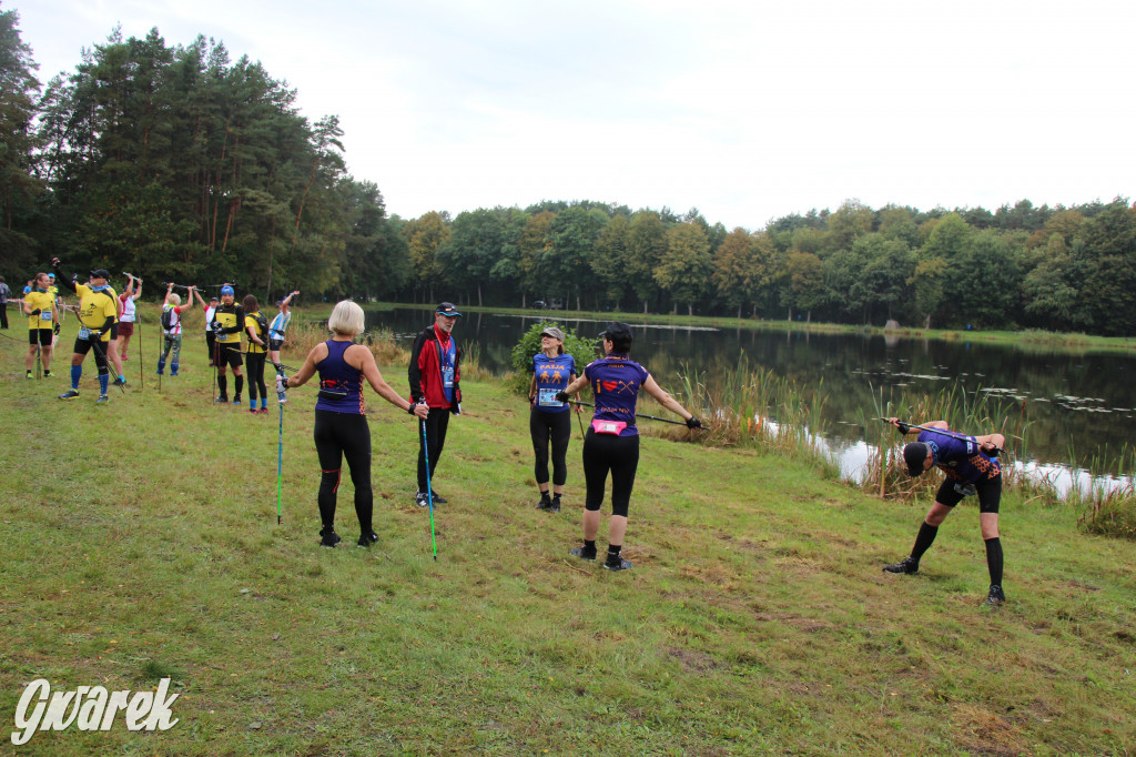 Pniowiec pod znakiem kijów