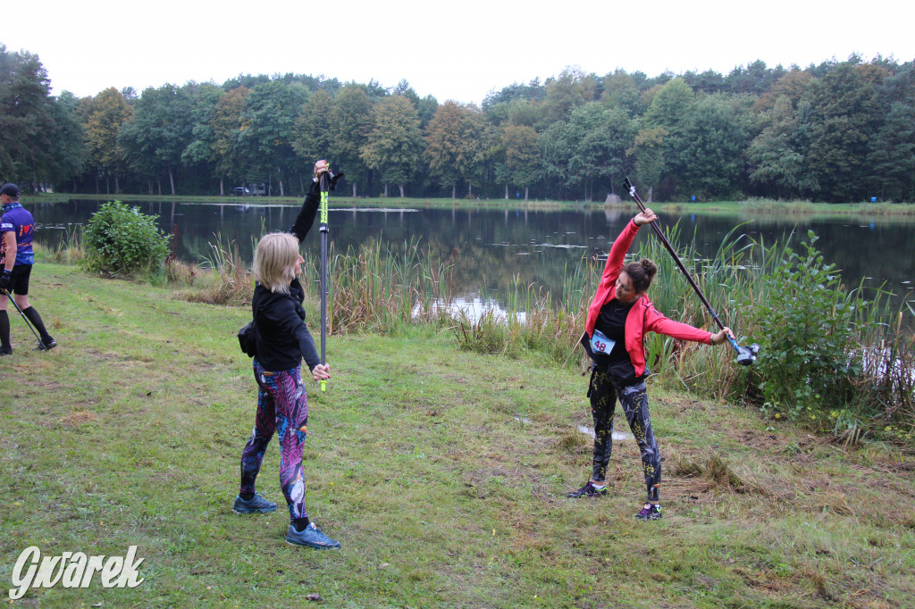 Pniowiec pod znakiem kijów