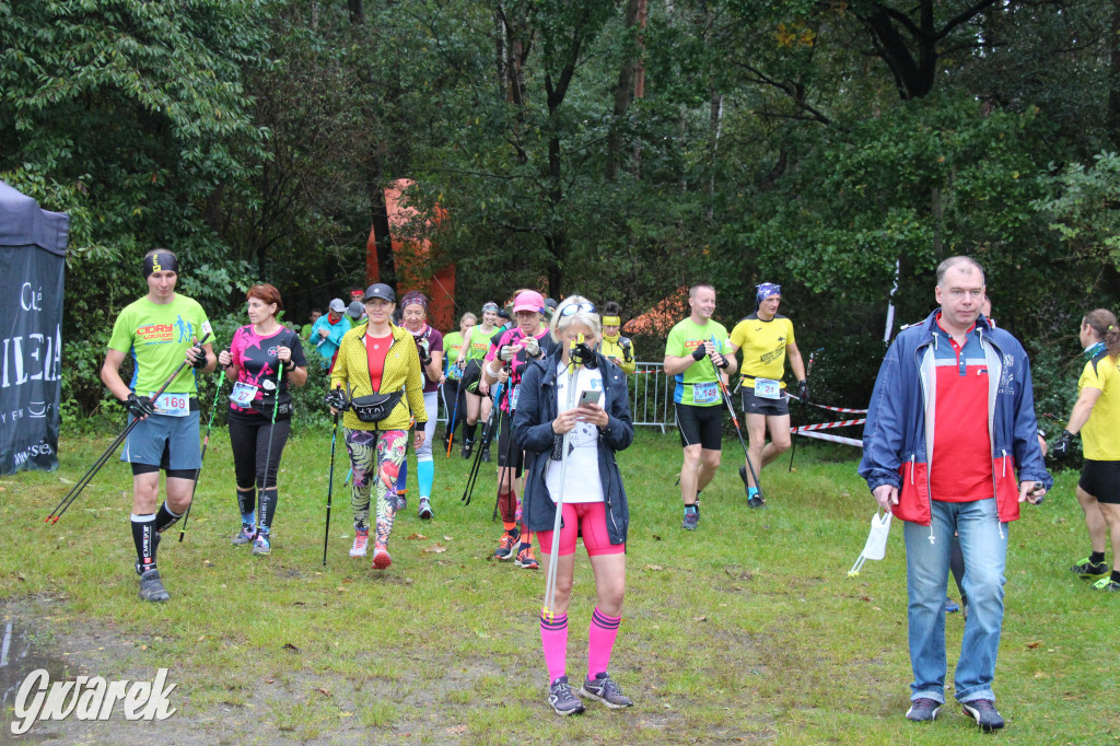 Pniowiec pod znakiem kijów