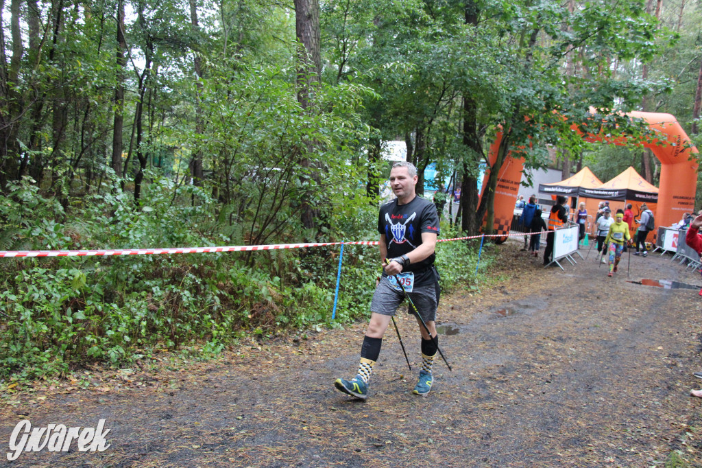 Pniowiec pod znakiem kijów