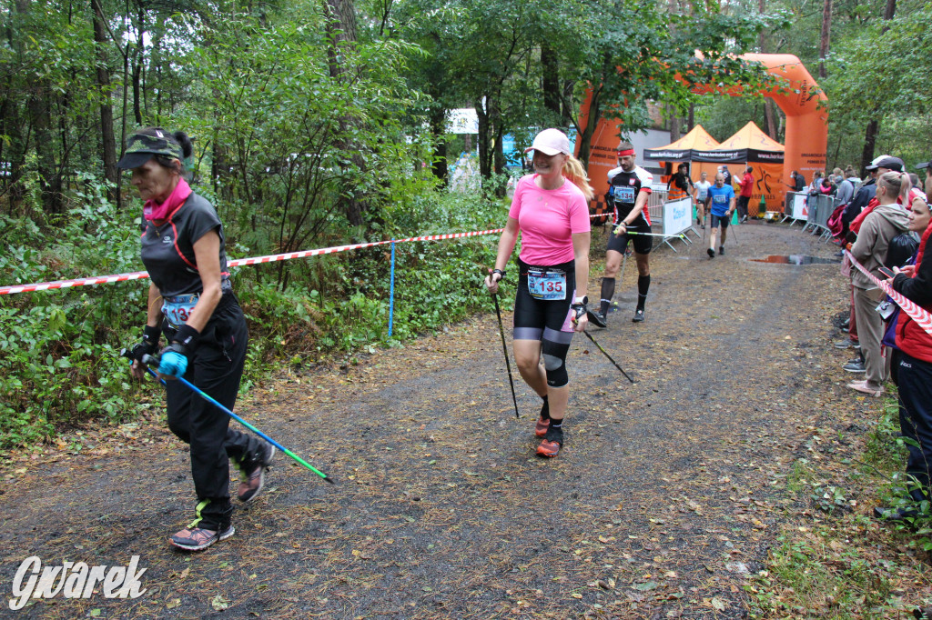Pniowiec pod znakiem kijów