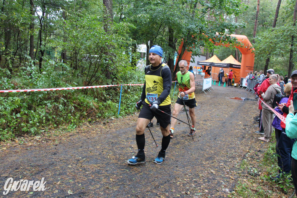 Pniowiec pod znakiem kijów