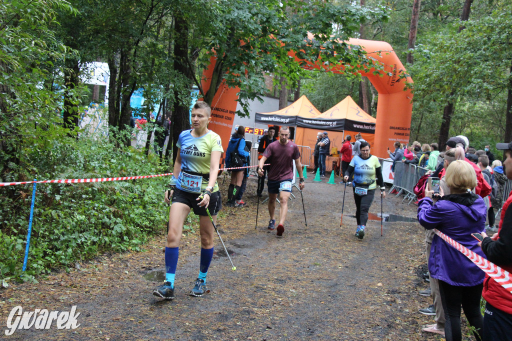 Pniowiec pod znakiem kijów