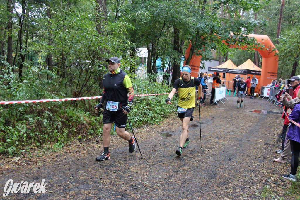 Pniowiec pod znakiem kijów