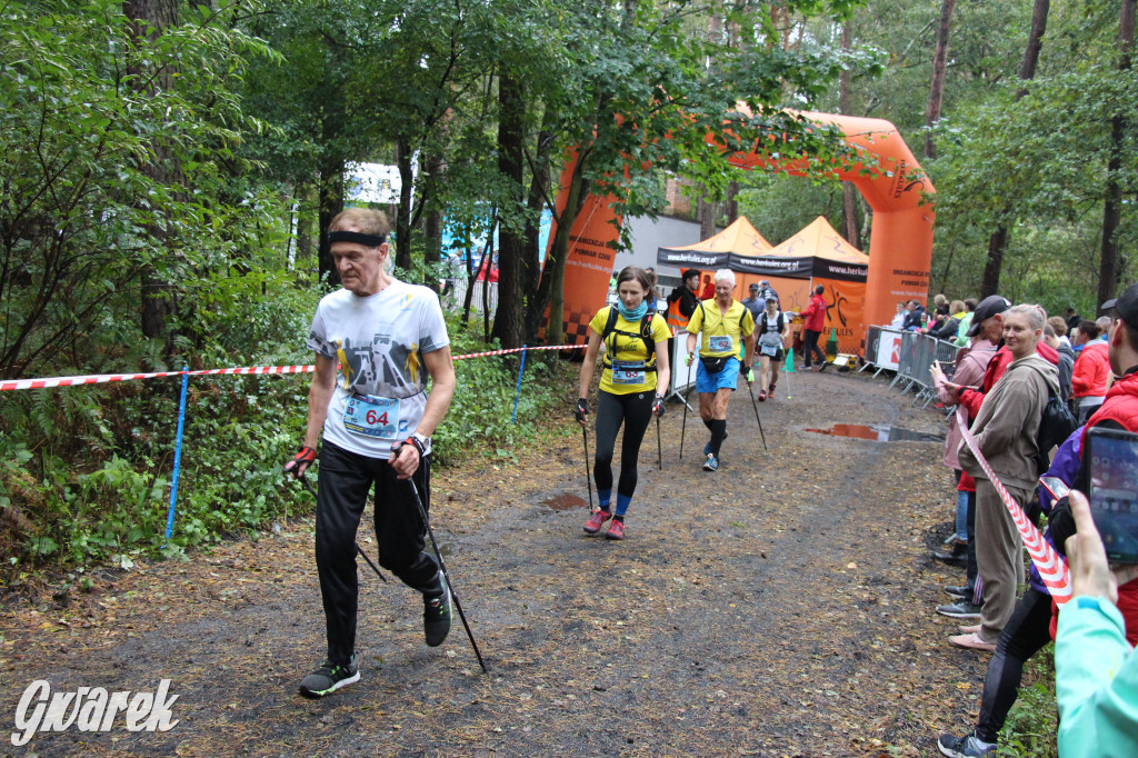 Pniowiec pod znakiem kijów