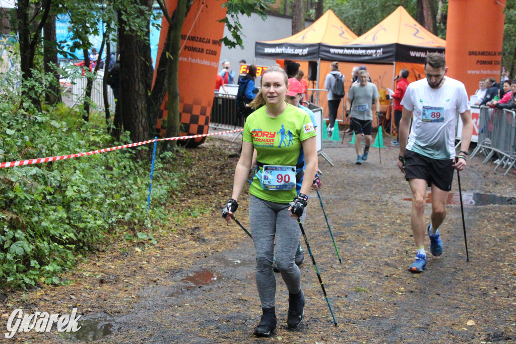 Pniowiec pod znakiem kijów
