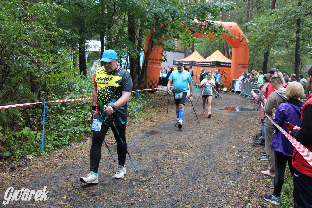 Pniowiec pod znakiem kijów