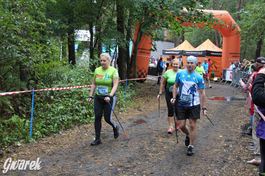 Pniowiec pod znakiem kijów