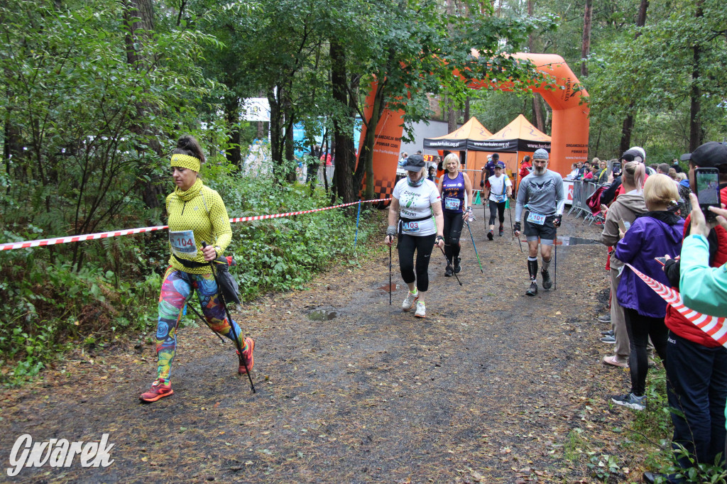 Pniowiec pod znakiem kijów