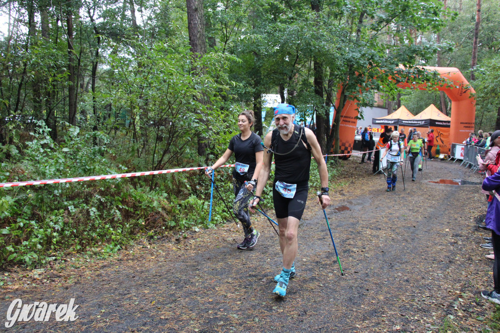 Pniowiec pod znakiem kijów