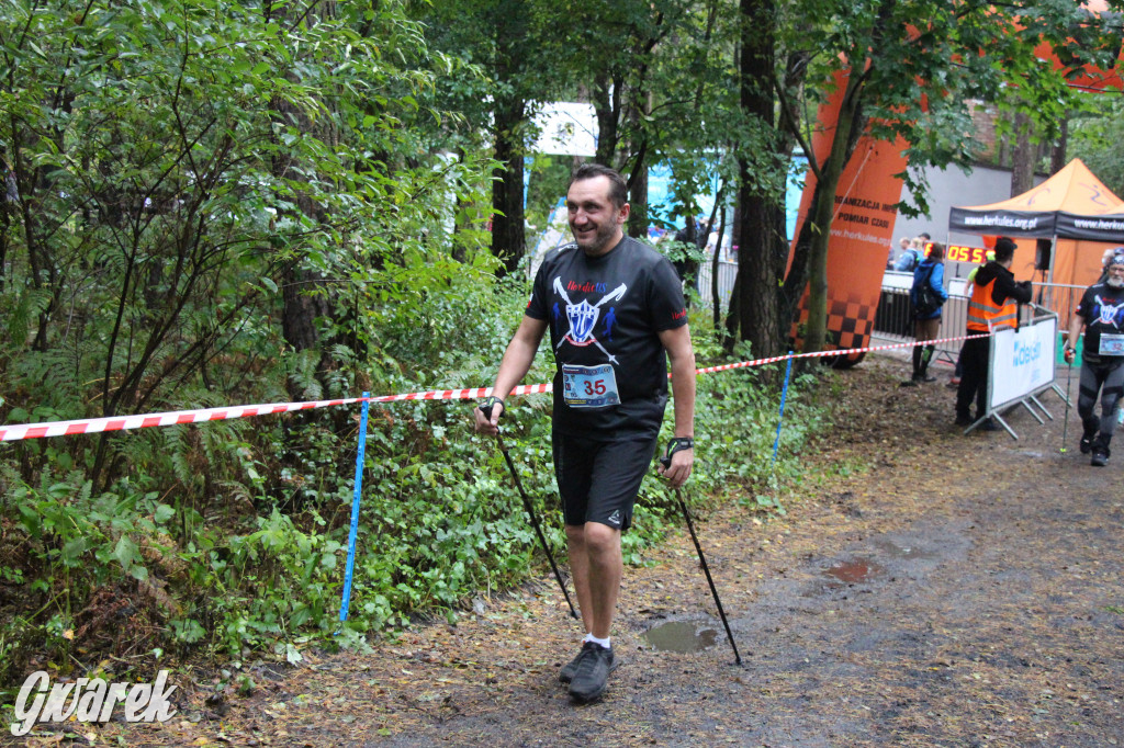 Pniowiec pod znakiem kijów