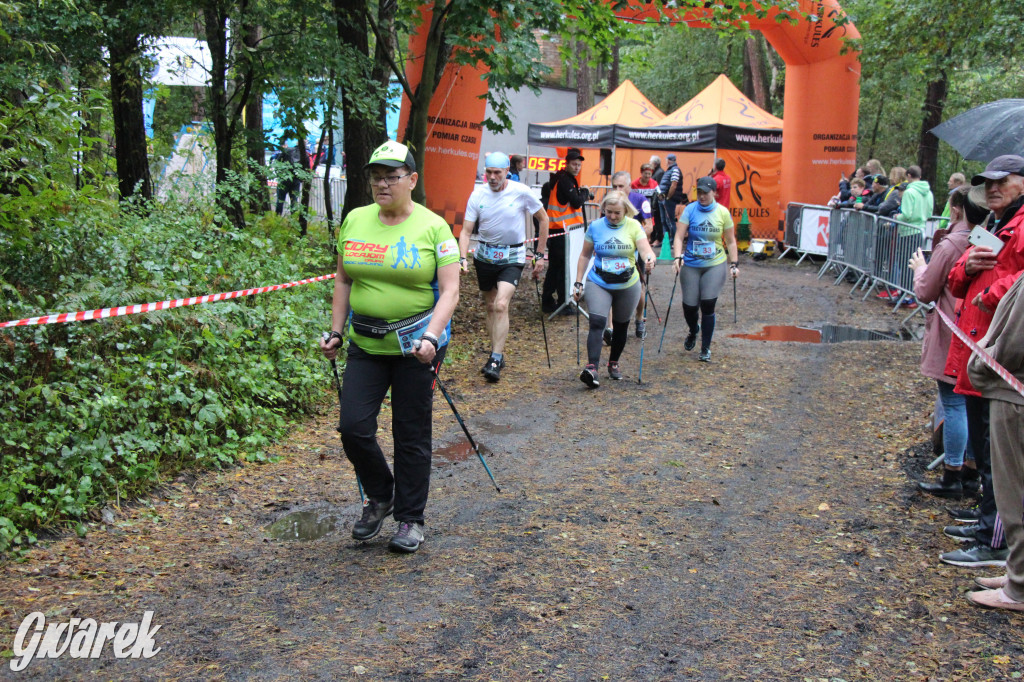 Pniowiec pod znakiem kijów