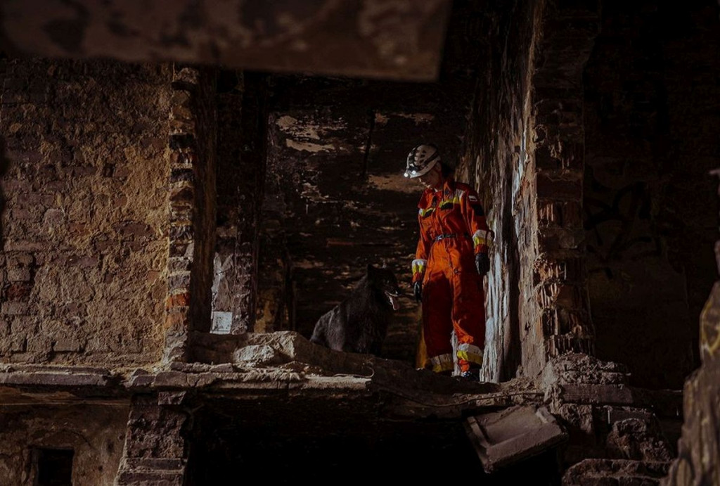 Wojskowe psy w pustostanie przy hałdzie