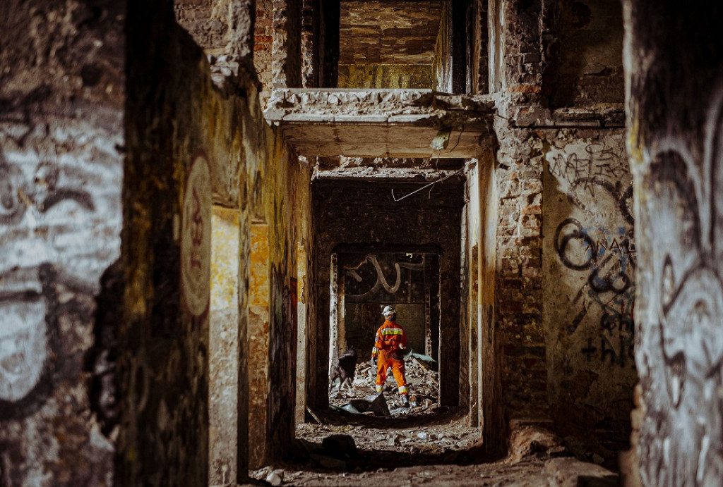 Wojskowe psy w pustostanie przy hałdzie