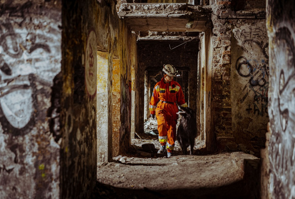 Wojskowe psy w pustostanie przy hałdzie