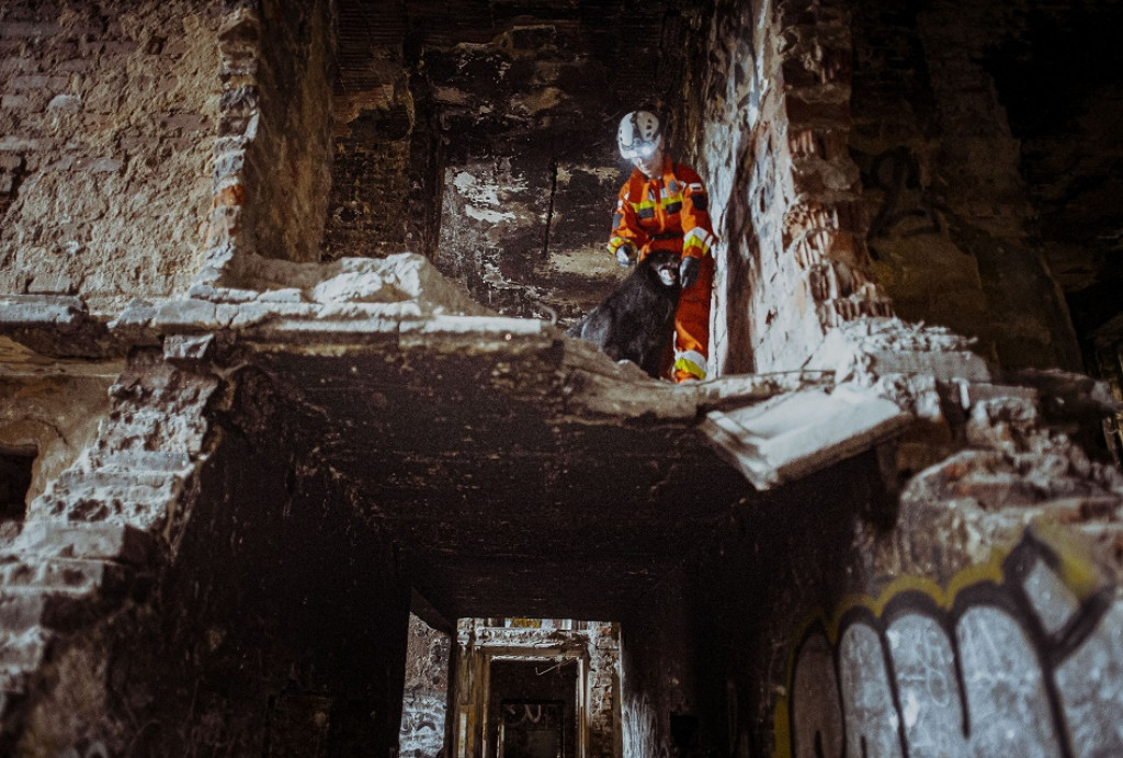 Wojskowe psy w pustostanie przy hałdzie