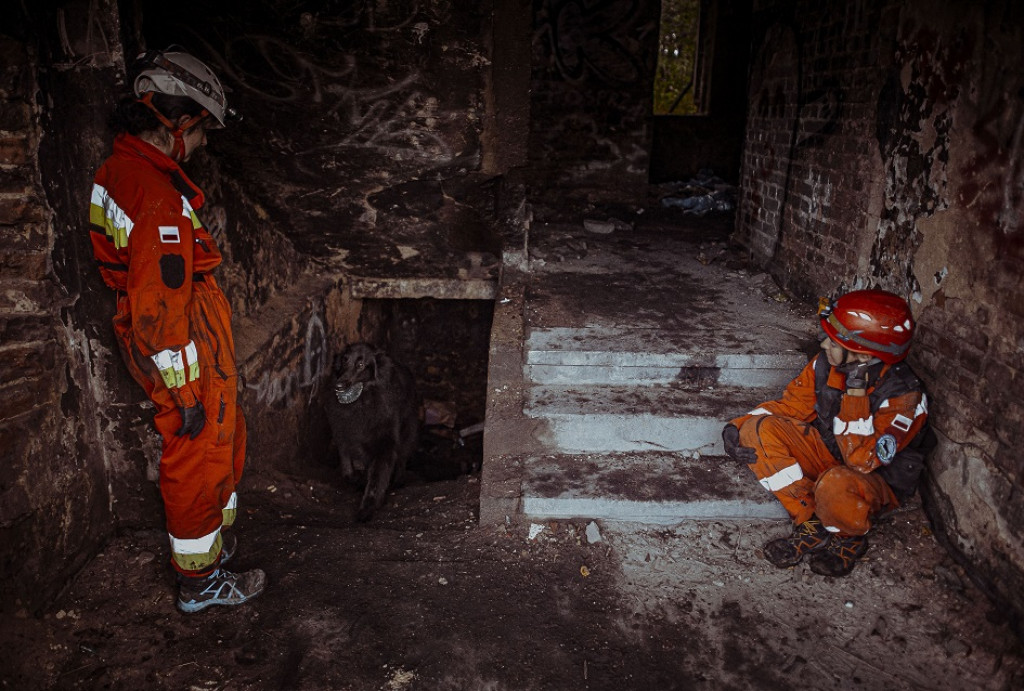 Wojskowe psy w pustostanie przy hałdzie