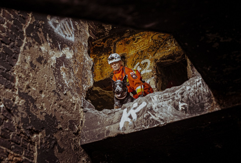 Wojskowe psy w pustostanie przy hałdzie