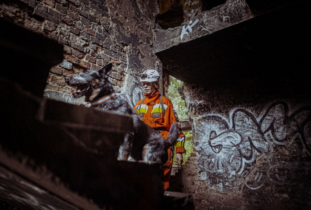 Wojskowe psy w pustostanie przy hałdzie