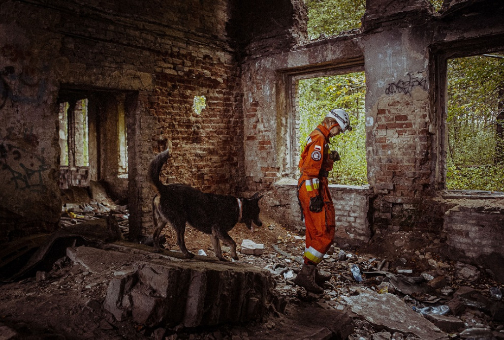 Wojskowe psy w pustostanie przy hałdzie