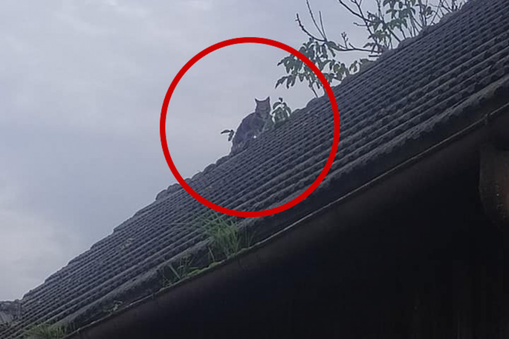 Na widok strażaków sam się ewakuował