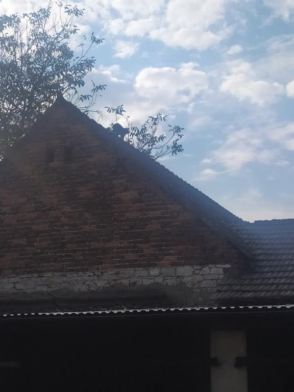 Na widok strażaków sam się ewakuował