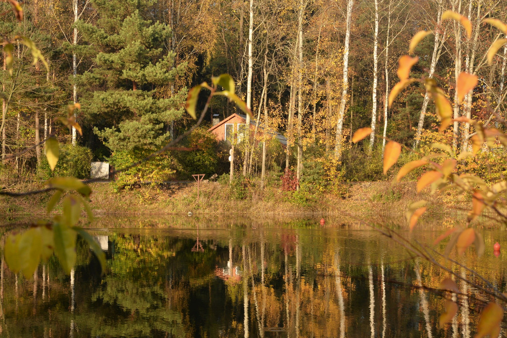 Dobre miejsce na jesienny spacer