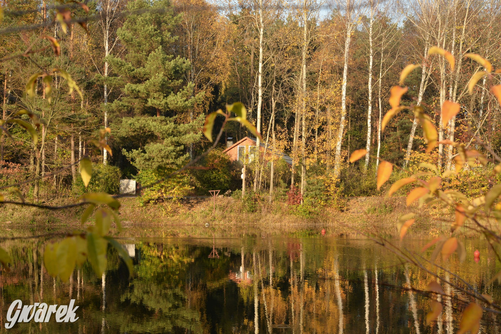 Dobre miejsce na jesienny spacer