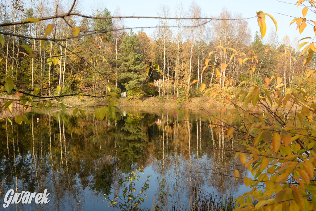 Dobre miejsce na jesienny spacer