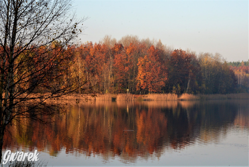 Dobre miejsce na jesienny spacer
