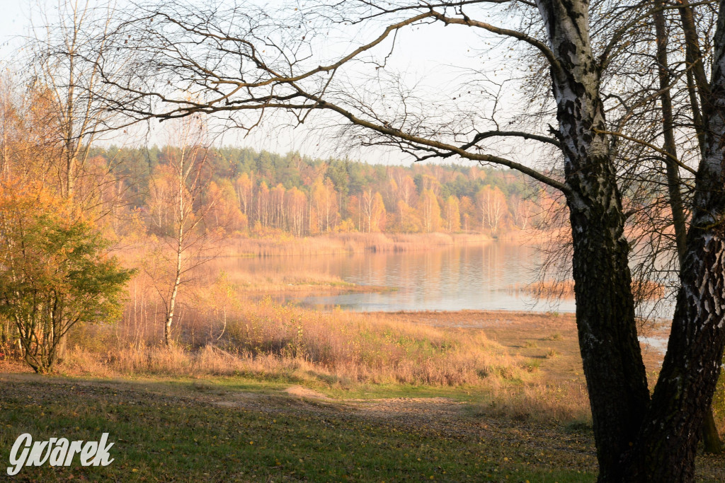 Dobre miejsce na jesienny spacer