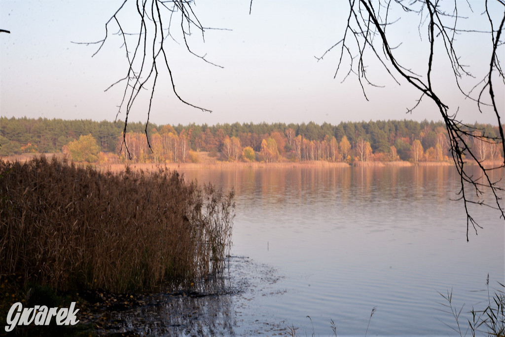 Dobre miejsce na jesienny spacer